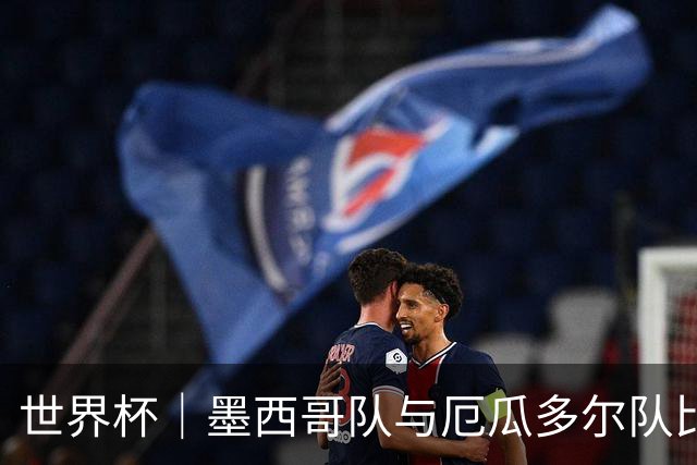 世界杯｜墨西哥队与厄瓜多尔队比赛因雷雨延迟